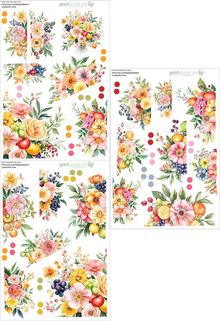 מארז מדבקות תותי פרוטי- רקע לבן