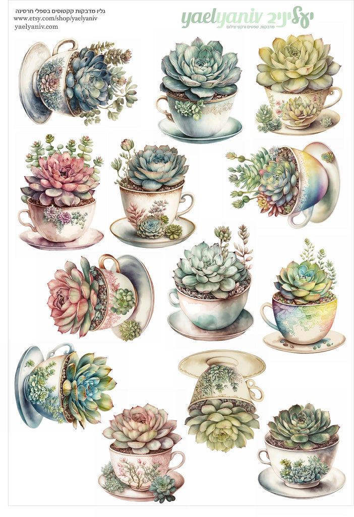 גליון מדבקות איורי קקטוסים בספלי חרסינה- רקע לבן