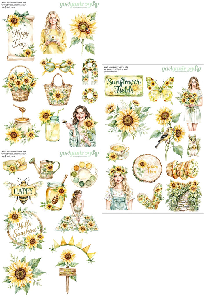 מארז מדבקות חמניות או לא להיות- רקע לבן