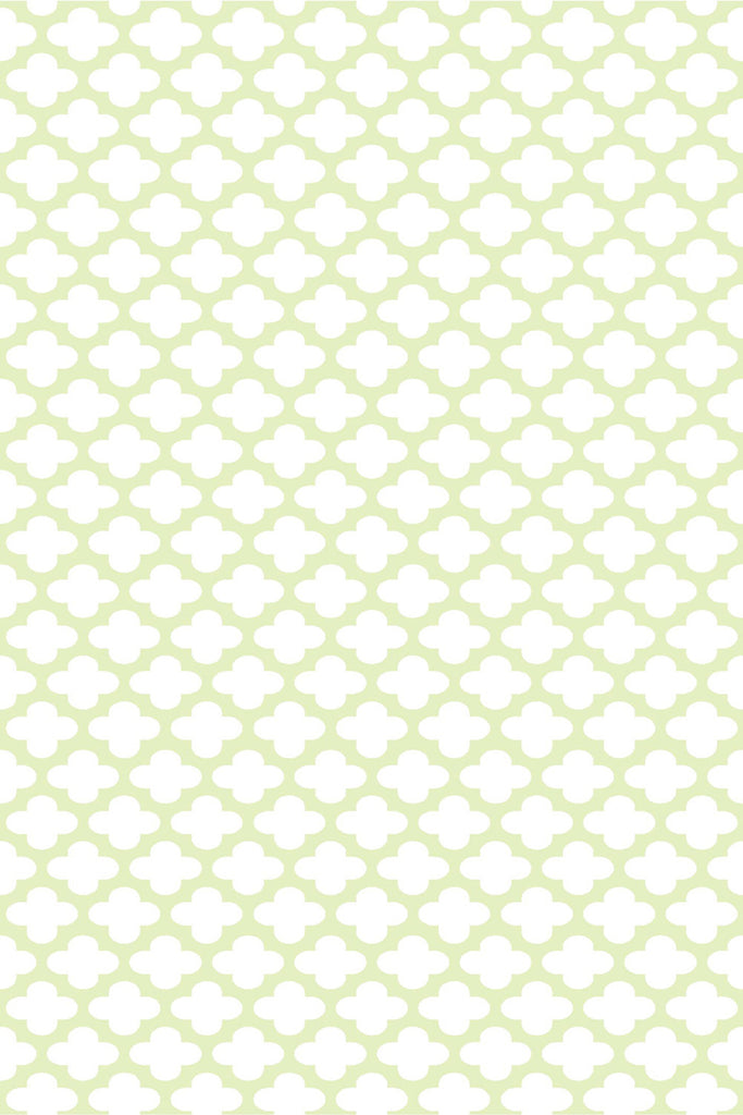 מדבקת טפט דגם תומר פיסטוק