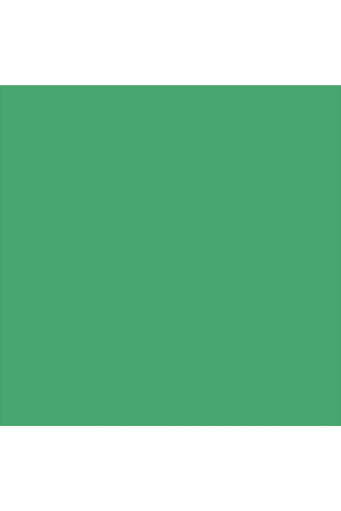 רקע לצילום על מגנט מרובע (195) - ירוק בהיר מט