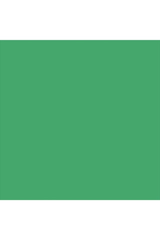 רקע לצילום על מגנט מרובע (195) - ירוק בהיר מט