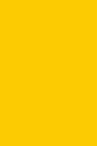 רקע לצילום על מגנט מלבני 100*60 - צהוב מט