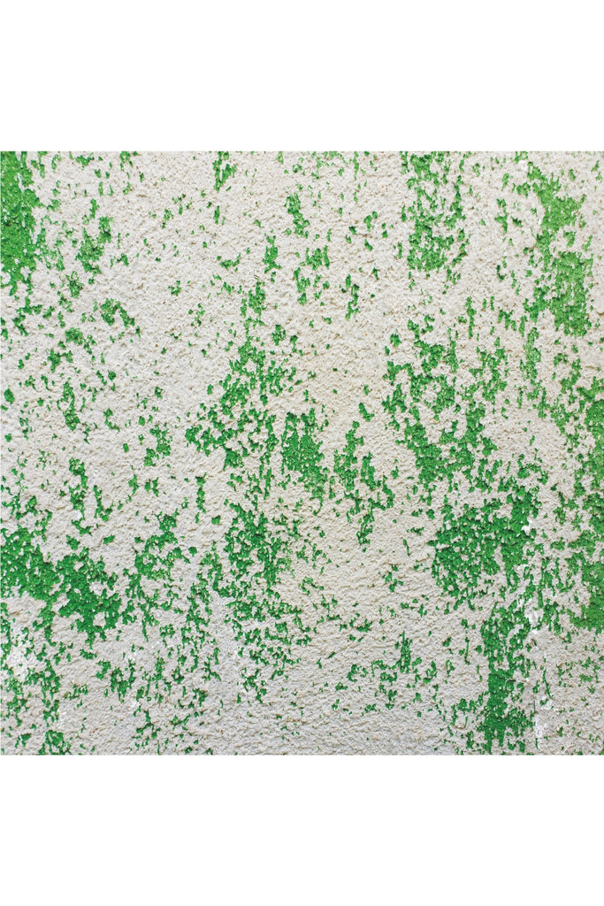 רקע לצילום על מגנט מרובע (427) - קיר אבן עם צבע ירוק