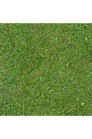 רקע לצילום על מגנט מרובע (38) - דשא