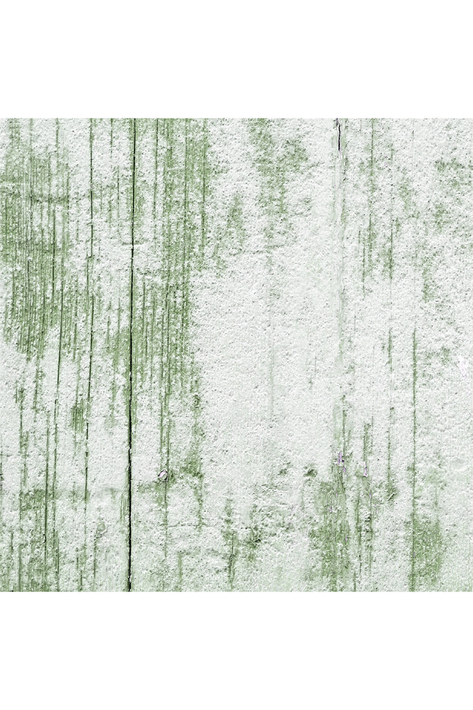 רקע לצילום על מגנט מרובע (68) - קיר אבן עם צבע ירוק