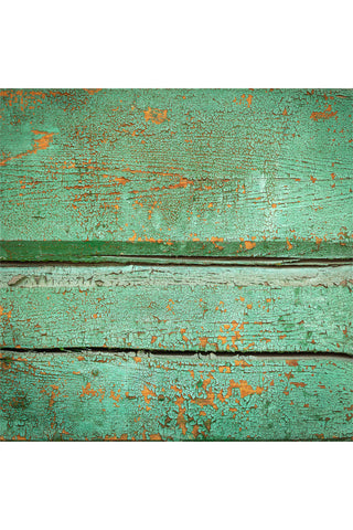 רקע לצילום על מגנט מרובע (91) - עץ צבע מנטה עז קרקל