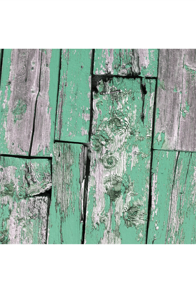 רקע לצילום על מגנט מרובע (35) - עץ ירוק