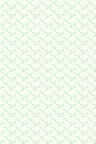 מדבקת טפט דגם סופיה פיסטוק