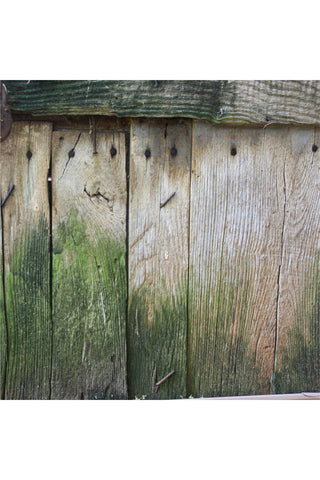 רקע לצילום על מגנט מרובע (45) - טוסקנה משטח עץ עם ירוק