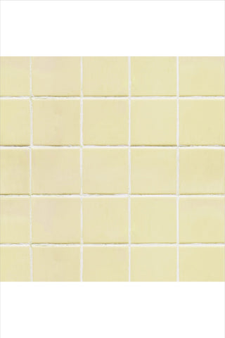 רקע לצילום על מגנט מרובע (452) - משטח אריחים בננה